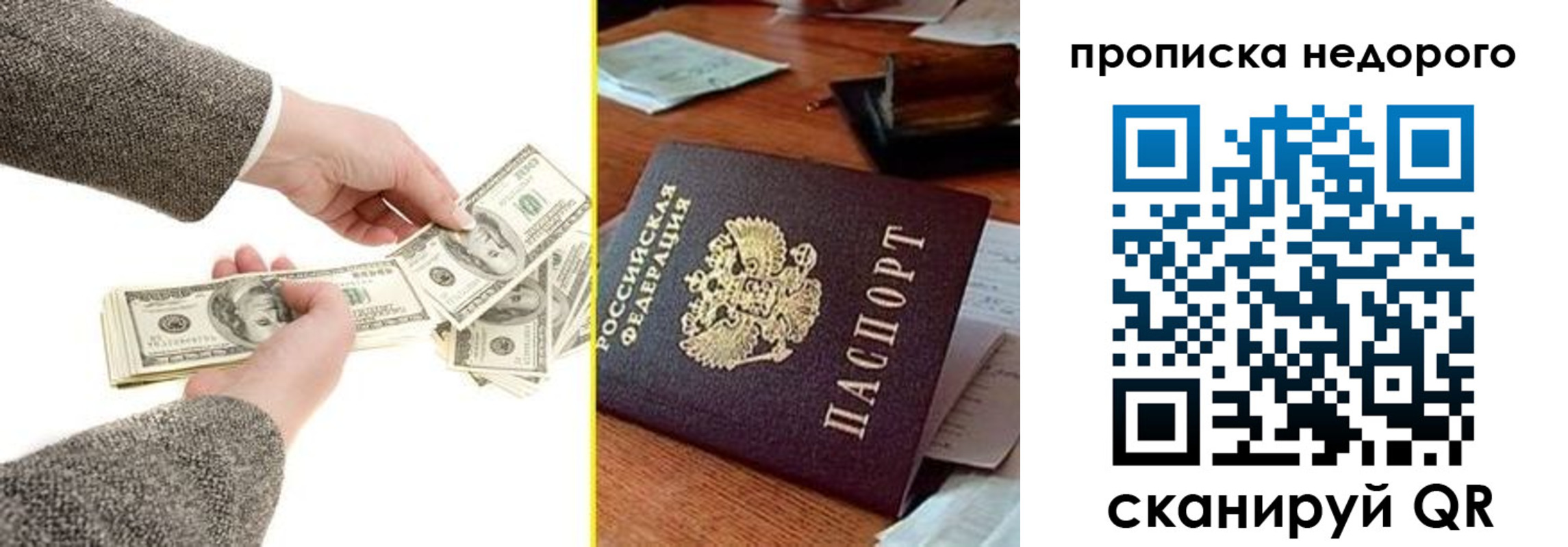 прописка для работы в Волгодонске